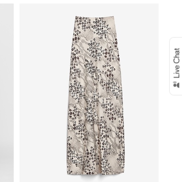 Maxi Skirt - Picture 3 of 3